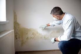 Best Airborne Mold Testing  in Blair, WI